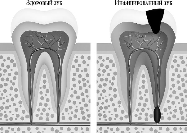 Иллюстрация к книге — Злые зубы [i_003.jpg]