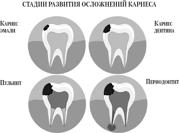 Иллюстрация к книге — Злые зубы [i_016.jpg]