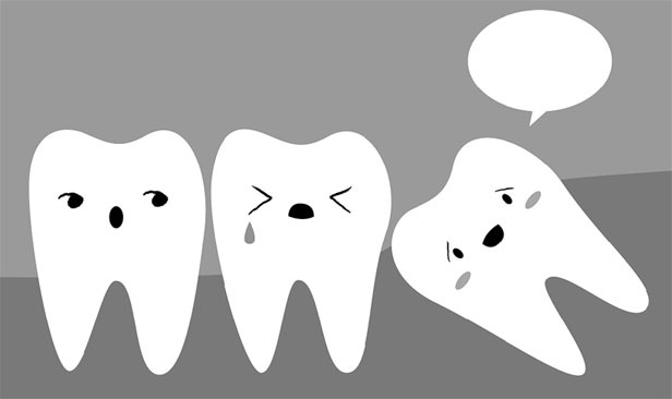 Иллюстрация к книге — Злые зубы [i_031.jpg]