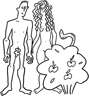 Иллюстрация к книге — 280 дней до вашего рождения. Репортаж о том, что вы забыли, находясь в эпицентре событий [i_024.jpg]