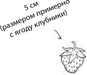 Иллюстрация к книге — 280 дней до вашего рождения. Репортаж о том, что вы забыли, находясь в эпицентре событий [i_026.jpg]