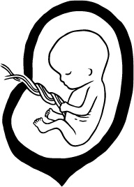 Иллюстрация к книге — 280 дней до вашего рождения. Репортаж о том, что вы забыли, находясь в эпицентре событий [i_029.jpg]