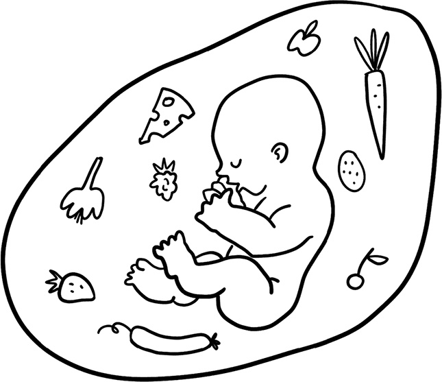 Иллюстрация к книге — 280 дней до вашего рождения. Репортаж о том, что вы забыли, находясь в эпицентре событий [i_032.jpg]