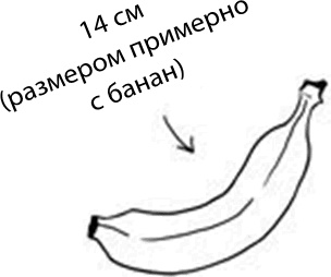 Иллюстрация к книге — 280 дней до вашего рождения. Репортаж о том, что вы забыли, находясь в эпицентре событий [i_034.jpg]