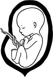 Иллюстрация к книге — 280 дней до вашего рождения. Репортаж о том, что вы забыли, находясь в эпицентре событий [i_039.jpg]