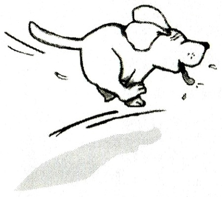 Иллюстрация к книге — Я всего лишь кошка [i_006.jpg]