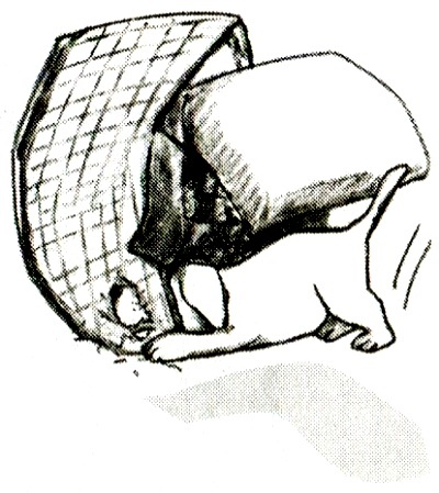 Иллюстрация к книге — Я всего лишь кошка [i_008.jpg]