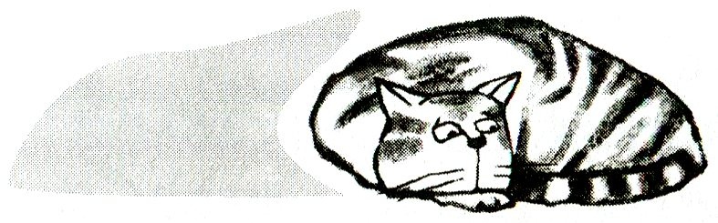 Иллюстрация к книге — Я всего лишь кошка [i_012.jpg]