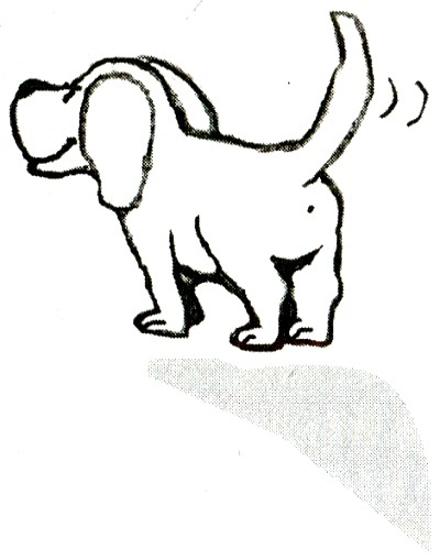 Иллюстрация к книге — Я всего лишь кошка [i_013.jpg]