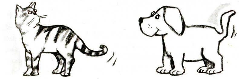 Иллюстрация к книге — Я всего лишь кошка [i_014.jpg]