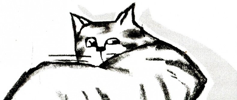 Иллюстрация к книге — Я всего лишь кошка [i_017.jpg]