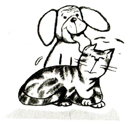 Иллюстрация к книге — Я всего лишь кошка [i_018.jpg]