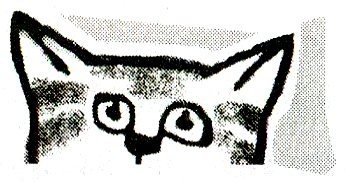 Иллюстрация к книге — Я всего лишь кошка [i_024.jpg]