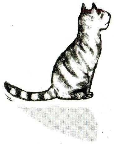 Иллюстрация к книге — Я всего лишь кошка [i_026.jpg]