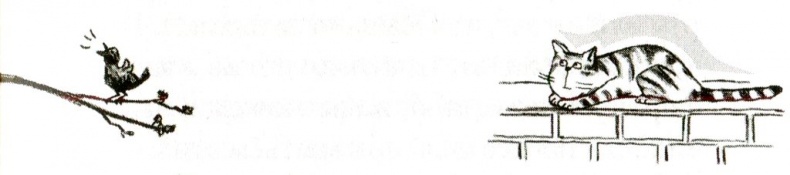 Иллюстрация к книге — Я всего лишь кошка [i_027.jpg]