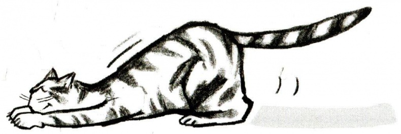 Иллюстрация к книге — Я всего лишь кошка [i_030.jpg]