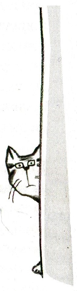 Иллюстрация к книге — Я всего лишь кошка [i_040.jpg]