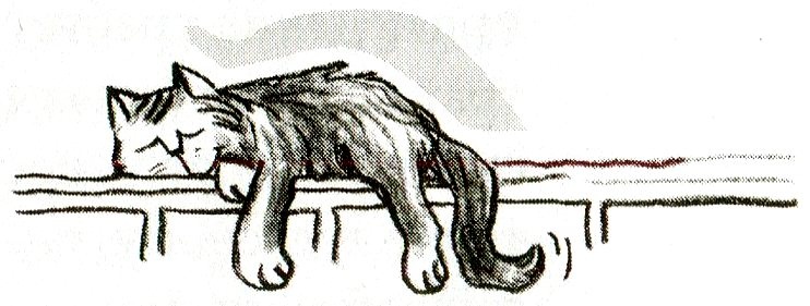 Иллюстрация к книге — Я всего лишь кошка [i_041.jpg]