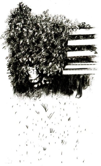 Иллюстрация к книге — Я всего лишь кошка [i_043.jpg]