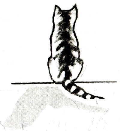 Иллюстрация к книге — Я всего лишь кошка [i_049.jpg]