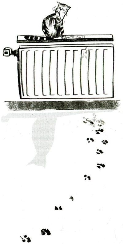 Иллюстрация к книге — Я всего лишь кошка [i_053.jpg]