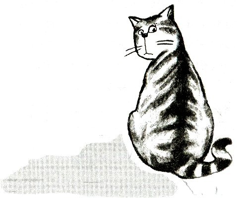 Иллюстрация к книге — Я всего лишь кошка [i_054.jpg]