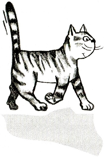 Иллюстрация к книге — Я всего лишь кошка [i_057.jpg]