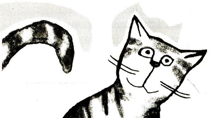 Иллюстрация к книге — Я всего лишь кошка [i_058.jpg]