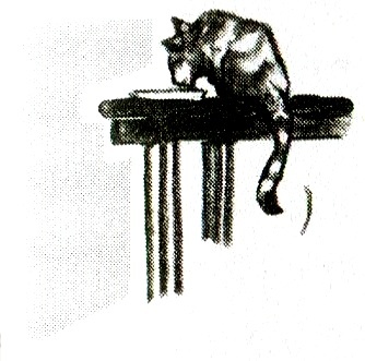 Иллюстрация к книге — Я всего лишь кошка [i_059.jpg]