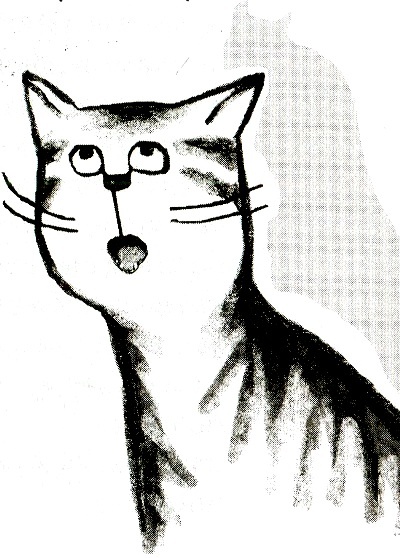 Иллюстрация к книге — Я всего лишь кошка [i_070.jpg]