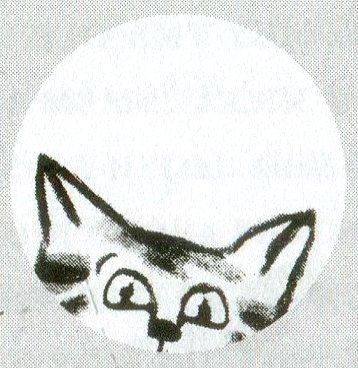 Иллюстрация к книге — Я всего лишь кошка [i_074.jpg]