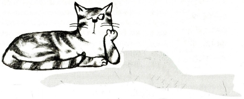 Иллюстрация к книге — Я всего лишь кошка [i_075.jpg]