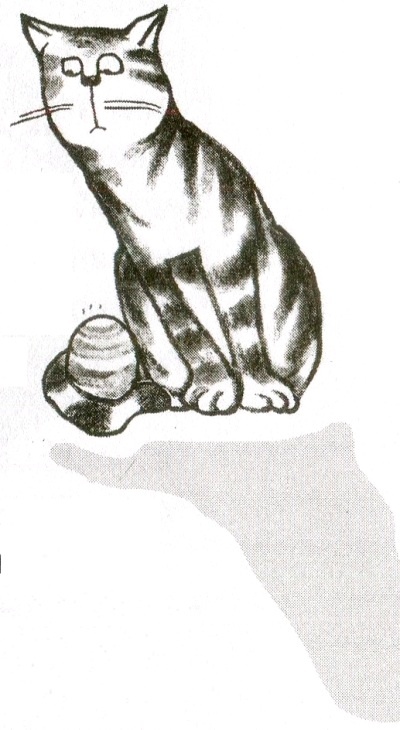 Иллюстрация к книге — Я всего лишь кошка [i_076.jpg]