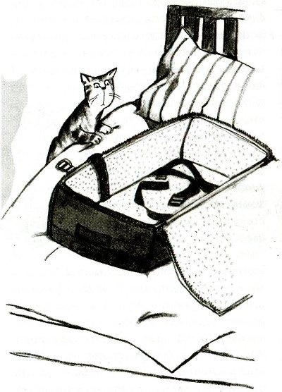 Иллюстрация к книге — Я всего лишь кошка [i_077.jpg]