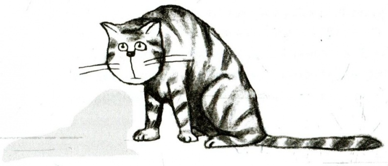 Иллюстрация к книге — Я всего лишь кошка [i_078.jpg]