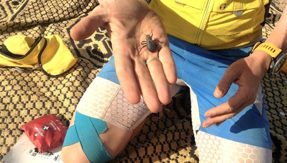 Иллюстрация к книге — Беги и помни [image15_5c766ff676e5a00600a054b5_jpg.jpg]