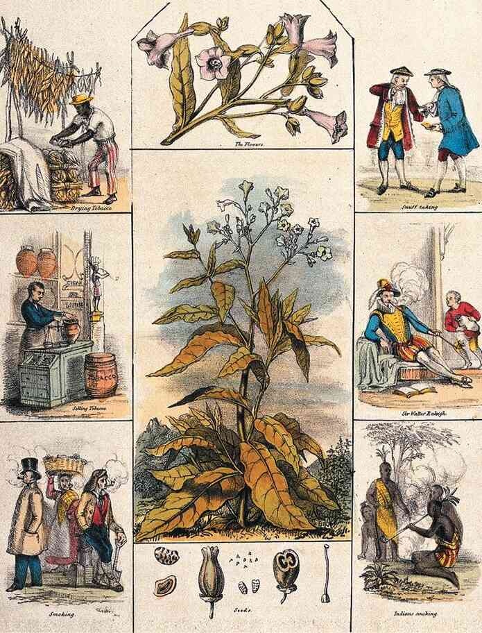 Иллюстрация к книге — История шарлатанства [i_058.jpg]