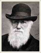 Иллюстрация к книге — История шарлатанства [i_116.jpg]