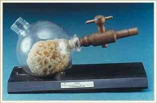 Иллюстрация к книге — История шарлатанства [i_136.jpg]