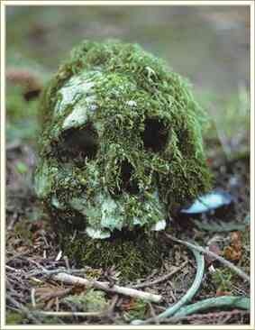 Иллюстрация к книге — История шарлатанства [i_150.jpg]