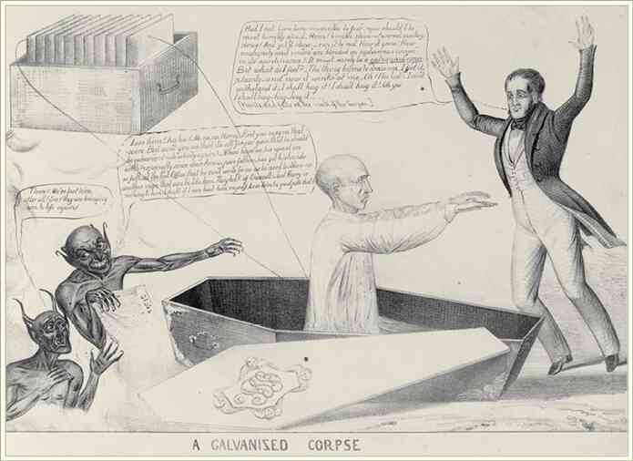 Иллюстрация к книге — История шарлатанства [i_177.jpg]