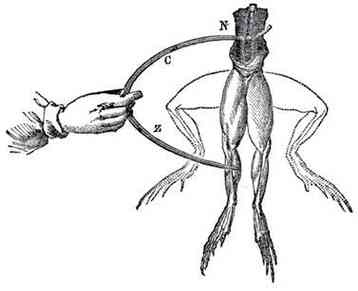 Иллюстрация к книге — История шарлатанства [i_178.jpg]