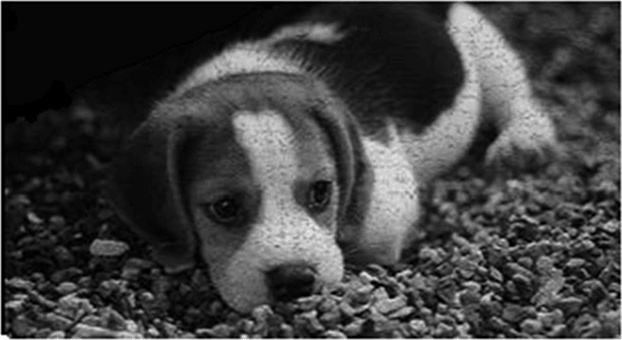 Иллюстрация к книге — Пекло [i_035.jpg]