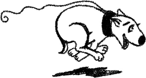 Иллюстрация к книге — Cобака. Полное руководство по дрессировке и уходу [i_001.jpg]