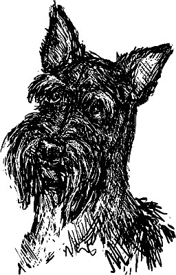 Иллюстрация к книге — Cобака. Полное руководство по дрессировке и уходу [i_002.jpg]