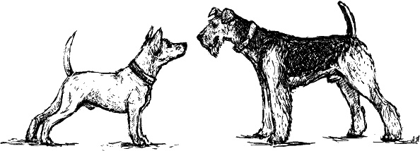 Иллюстрация к книге — Cобака. Полное руководство по дрессировке и уходу [i_017.jpg]