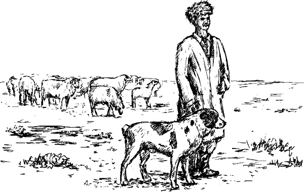 Иллюстрация к книге — Cобака. Полное руководство по дрессировке и уходу [i_036.jpg]