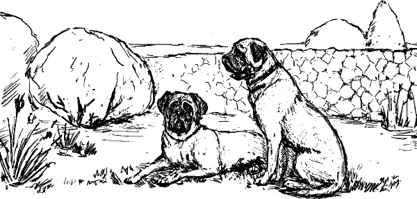 Иллюстрация к книге — Cобака. Полное руководство по дрессировке и уходу [i_038.jpg]