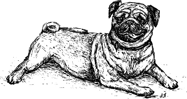 Иллюстрация к книге — Cобака. Полное руководство по дрессировке и уходу [i_040.jpg]