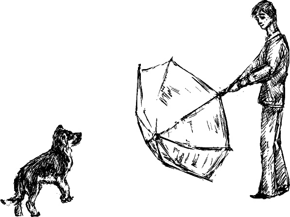 Иллюстрация к книге — Cобака. Полное руководство по дрессировке и уходу [i_045.jpg]